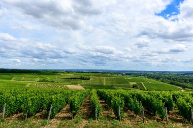 Geniş yeşil üzüm bağları Pouilly sur Loire 'da dramatik bulutlarla dolu bir gökyüzünün altındaki yuvarlanan tepeler boyunca uzanır. Sahnede gür dokular, açık tarım arazileri ve sakin bir kırsal atmosfer yer alıyor..