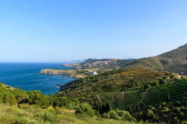 Bereketli üzüm bağlarının geniş manzarası Cerbere yakınlarındaki engebeli Akdeniz kıyı şeridine doğru iniyor. Güneşli tepeler ve açık mavi bir gökyüzünün altında uzanan uzak bir köy var..