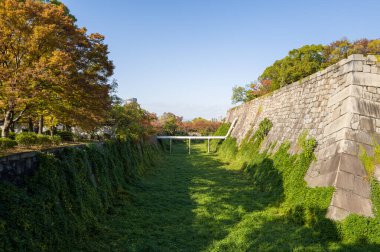 Tarihi taş duvarlar, Osaka kalesindeki açık mavi gökyüzünün altında renkli sonbahar ağaçları tarafından çerçevelenmiş yemyeşil sarmaşıklarla kaplanmış kuru bir hendeği kaplar. Sahne, eski duvarları canlı mevsimsel yapraklarla harmanlıyor..