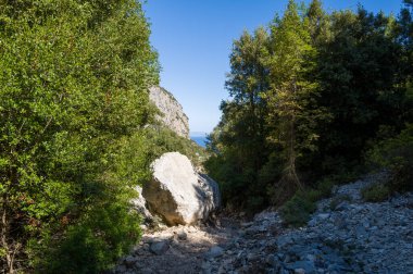 Sardunya 'nın Baunei kenti yakınlarındaki sık Akdeniz ormanlarıyla çevrili engebeli, taşlarla kaplı bir yolda devasa bir beyaz kaya parçası bulunuyor. Güneş ışığı, uzaktaki mavi denizi andıran desenli kayaları ve yemyeşil yeşilliği vurgular..