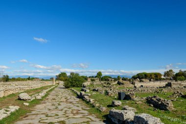 İtalya 'nın Paestum kentindeki arkeolojik bölgede yıpranmış taş duvarlar arasında geniş bir kaldırım taşı yolu bulunur. Sahne, dağınık harabeler, yeşil çimenler ve tepemizde uzanan parlak mavi Akdeniz gökyüzü ile aydınlanıyor..