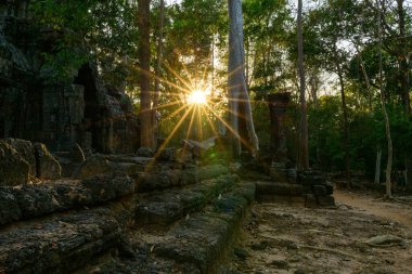 Uzun orman ağaçlarının arasından geçen, yosunlu taş basamakları aydınlatan ve Angkor, Kamboçya 'daki Ta Nei tapınağında yıpranmış bir güneş patlaması. Sahne harap olmuş harabeler, dağınık bloklar ve sıcak, öğleden sonra geç saatlerde sakin bir orman yolu harmanlıyor.