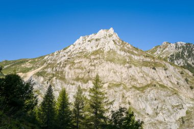 Keskin kireçtaşından sırtları olan engebeli bir dağ, parlak öğleden sonra güneşiyle aydınlatılan parlak mavi gökyüzünün altında, sonsuz yeşil ağaçlardan oluşan bir kümenin üzerinde yükseliyor..