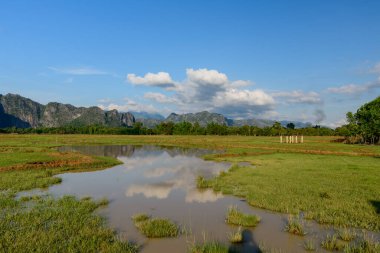 Sığ su, bulutların yansımalarıyla dolu çimenli bir tarlayı kaplar, dramatik kireçtaşı dağları ve parlak mavi bir gökyüzüne karşı kurulur. Sakin kırsal alan, Laos kırsalının tipik yeşillik ve doğal dokularını yakalar..