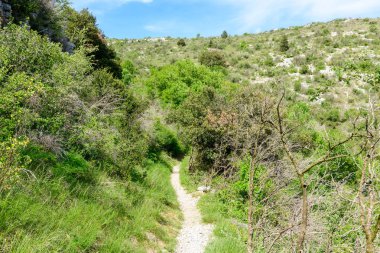 Dar bir toprak yolu, Navacelles Sirki 'nin güneşli yamaçlarındaki sık yeşil bitki örtüsü ve çalıların arasında dolanıyor. Parlak bahar ışığı, yabani otların ve çalıların çeşitli dokularını vurgular..