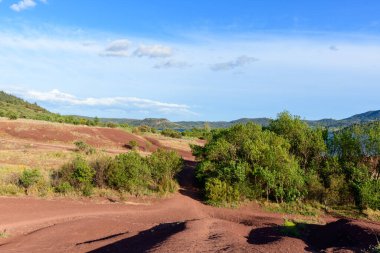 Yoğun yeşil çalıların ve açık arazilerin arasından süzülen güneş ışığı kırmızı toprak yol, yuvarlanan tepeler ve Salagou Gölü 'ndeki uzak mavi gökyüzü. Manzara çarpıcı karşıtlıklara ve doğal dokulara sahiptir..