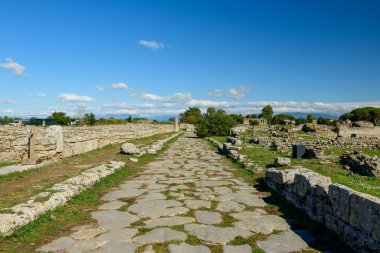 İtalya 'nın Paestum kentindeki arkeolojik alanda yıpranmış taş duvarlar arasında geniş bir kaldırım taşı caddesi bulunuyor. Sahne, dağınık harabeler, yeşil çimenler ve tepemizde uzanan canlı mavi bir Akdeniz gökyüzü ile berrak güneş ışığıyla yıkandı..