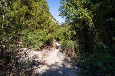 Sardunya 'nın Baunei yakınlarındaki vahşi Akdeniz manzarasında, kalın yeşil çalılar ve parlak güneş ışığı altındaki ağaçlar arasında engebeli, taşlı bir yürüyüş yolu esiyor. Gölge ve ışığın etkileşimi doğal, davetkar bir atmosfer yaratır..