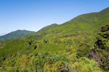 Yoğun ormanlarla kaplı canlı yeşil dağ yamaçları bulutsuz mavi gökyüzünün altında güneş ışığının yeşilliğin çeşitli dokularını aydınlattığı. Sahne, uzak ve sakin bir ortamda ferah ve geniş bir doğal güzelliği yansıtıyor.