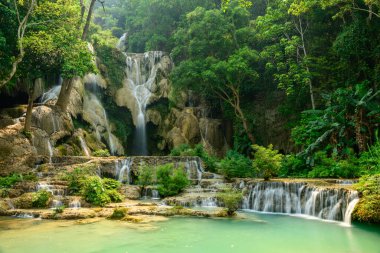 Kuzey Laos 'taki Kuang Si Şelaleleri' nin çok katlı kireçtaşı çağlayanı ve turkuaz havuzlarını yoğun yeşil yapraklar çerçeveliyor. Güneş ışığı tropikal ormandan süzülerek akan suyu ve doğal dokuları vurgular..