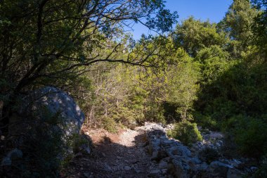 Taşlı bir patika, yoğun yeşil orman boyunca esiyor. Güneş ışığı, kayalık zemin parçalarını aydınlatıyor ve yapraklı gölgelerin altında derin gölgeler bırakıyor. Sahne, Akdeniz yürüyüş ortamının engebeli güzelliğini ve doğal dokusunu yakalıyor..