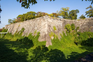 Osaka kalesinde, yeşil sarmaşıklara tırmanıp sıcak öğleden sonra güneşiyle yıkanan tarihi taş duvarların keskin köşeleri. Yeşillik ve açık mavi gökyüzü canlı, doğal bir atmosfer yaratır..