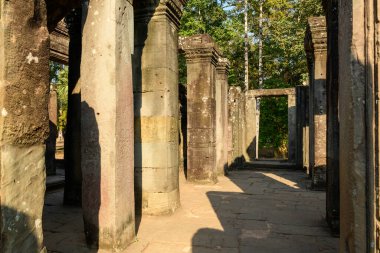 Altın öğleden sonra ışığı, yıpranmış taş sütunlar ve Angkor, Kamboçya 'daki tarihi Bayon tapınağında açık bir kapı boyunca uzun gölgeler oluşturur. Kum taşı desenli sütunlar orman yeşilliğinin ötesindeki ince oymaları ortaya koyuyor.