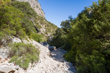 Engebeli, kayalık bir patika dik kireçtaşı uçurumları ve parlak mavi gökyüzünün altındaki yoğun Akdeniz bitkileri arasında süzülüyor. Güneş ışığı, Baunei yakınlarındaki bu vahşi kanyon manzarasında taşın ve yeşilliğin çeşitli dokularını ortaya çıkarır..