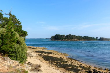 Sakin, kayalık bir kıyı şeridi, kumlu alanlar ve yemyeşil ağaçlar sakin mavi sulara bakar. Parlak, bulutsuz bir gökyüzünün altında ormanlık bir ada vardır..