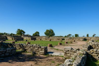 Düşük antik taş duvarlar ve dairesel tuğlalar İtalya 'nın Paestum kentindeki çimenli arkeolojik zeminler boyunca uzanıyor. Açık arazi, parlak mavi bir Akdeniz gökyüzünün altında açık güneş ışığıyla aydınlatılır. Dağılmış ağaçlar derinlik katar.