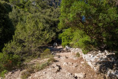 Sardunya 'nın Baunei yakınlarındaki sık Akdeniz çalıları ve ağaçlarının arasından geçen gevşek taşlarla çevrili ve taştan bir duvarla çevrili engebeli bir patika. Güneş ışığı yaprakların arasından süzülür, kayalık zeminde lekeli gölgeler bırakır..