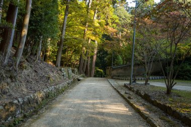 Japonya 'nın Himeji kentindeki Shosha Dağı' nda, Engyoji yakınlarında, yüksek ağaçların arasından esen geniş toprak bir patika. Huzurlu sahnede toprak dokular ve huzurlu bir orman atmosferi var..
