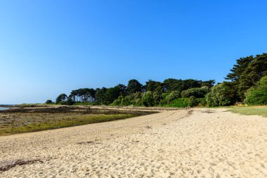 Geniş kumlu kıyı şeridi kayalık gelgit düzlükleriyle ve açık mavi gökyüzünün altında Saint Philibert 'teki Men er Bellec plajında yoğun yeşil yapraklarla birleşiyor..