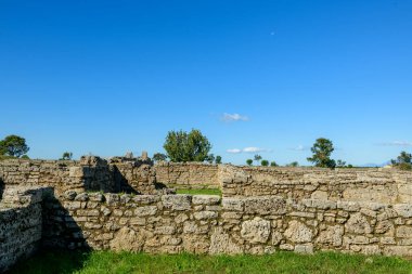 Yıpranmış taş duvarlar ve antik yapıların kalıntıları İtalya 'nın Paestum kentindeki çimenli arkeolojik alanlarda uzanıyor. Sahne, parlak bir mavi gökyüzünün altında parlak güneş ışığıyla aydınlatılıyor. Dağılmış ağaçlar, tarihi manzaraya derinlik katıyor..