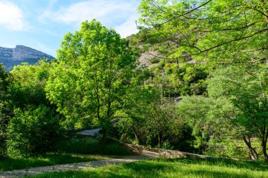 Bereketli yeşil ağaçlar ve yoğun yapraklar, arka planda açık mavi bir gökyüzünün altında yükselen kayalık kireçtaşı tepeleriyle sessiz bir bahçe yolu oluşturur. Güneş ışığı yaprakların arasından süzülerek huzurlu ve canlı bir bahar atmosferi yaratır..