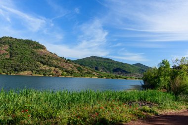 Uzun yeşil sazlıklar ve dağınık kır çiçekleri Salagou Gölü 'nün kıyısında yemyeşil tepeler halinde canlı bir gökyüzü altında durgun mavi suyun ötesine yükselirler. Sahne taze, açık ve doğal olarak huzurlu..