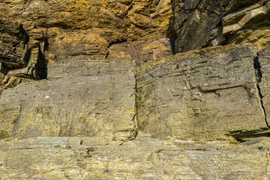 Cap de Carteret 'teki katmanlı bir uçurum duvarının güneş ışığıyla yakın plan çekimleri, karmaşık yatay katmanları ve sıcak toprak renklerini ortaya çıkarıyor. Kalıplaşmış taş yüzeyi doğal ışık ile vurgulanmış, jeolojik desenler ve engebeli detaylar vurgulanmıştır..