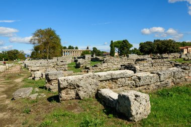 Büyük yıpranmış taş bloklar ve alçak duvarlar İtalya 'nın Paestum kentindeki çimenli arkeolojik alanlar boyunca uzanıyor. Sahnede dağınık ağaçlar, uzak bir Yunan tapınağı ve canlı mavi bir Akdeniz gökyüzünün altında gevrek güneş ışığı yer alıyor..