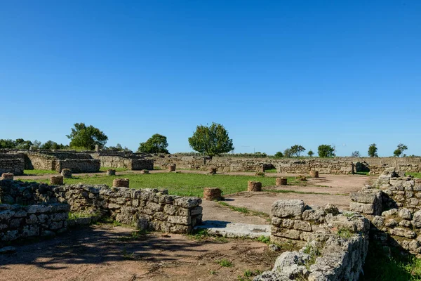 Düşük antik taş duvarlar ve dairesel tuğlalar İtalya 'nın Paestum kentindeki çimenli arkeolojik zeminler boyunca uzanıyor. Açık arazi, parlak mavi bir Akdeniz gökyüzünün altında açık güneş ışığıyla aydınlatılır. Dağılmış ağaçlar derinlik katar.