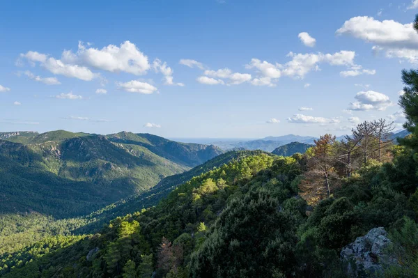 Canlı yeşil tepeler ve sık orman engebeli tepelere doğru uzanıyor ve Sardinya 'nın Baunei ve Dorgali yakınlarında dağınık bulutlarla kaplı parlak mavi bir gökyüzünün altında deniz soluk bir bakış atıyor. Güneş ışığı, doğal dokuları ve derinliği vurgular.