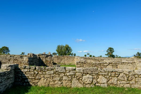 Yıpranmış taş duvarlar ve antik yapıların kalıntıları İtalya 'nın Paestum kentindeki çimenli arkeolojik alanlarda uzanıyor. Sahne, parlak bir mavi gökyüzünün altında parlak güneş ışığıyla aydınlatılıyor. Dağılmış ağaçlar, tarihi manzaraya derinlik katıyor..