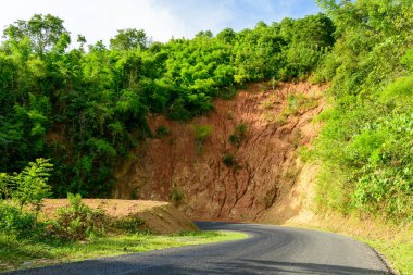 Sarmal bir asfalt yol, yoğun ve canlı yeşil ormanlarla çevrili sarp ve korunmasız toprak setinin etrafında keskin bir şekilde kıvrılır. Güneş ışığı, kırmızı toprağın ve yemyeşil bitki örtüsünün doğal dokusunu vurgular ve tropikal bir kırsal bölgede canlı bir manzara yaratır..