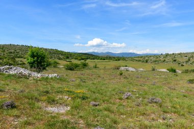 Geniş otlaklar, kır çiçekleri ve alçak çalılarla kaplı. Navacelles Sirki 'nin masmavi gökyüzünün altındaki yuvarlanan tepelere doğru uzanıyor. Dağılmış taş yığınları ve yemyeşil yemyeşil huzurlu, kırsal bir atmosferi çağrıştırıyor.
