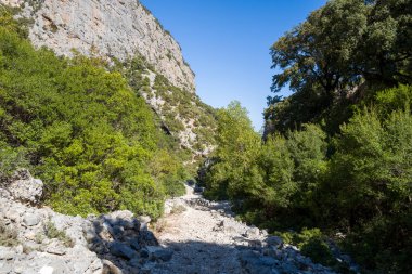 Güneşli bir kayalık yol, dik kireçtaşı uçurumları ve açık mavi gökyüzünün altındaki yoğun Akdeniz bitkileriyle çevrili dar bir kanyon boyunca esiyor. Engebeli arazide canlı yeşil yapraklar ve desenli taş yüzeyler var..