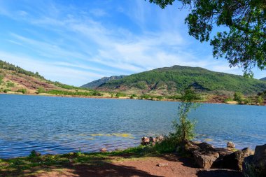 Lac de Salagou 'nun berrak mavi suları dalgalı bir gökyüzü altında yuvarlanan yeşil tepelere doğru uzanır ve kayalık kırmızı kıyı şeridi ve ön planda dağınık bitki örtüsü bulunur. Sahne parlak, açık ve doğal olarak sakin..