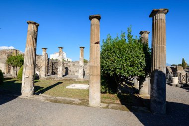 İtalya 'nın Pompeii kentindeki Cornelli Hanedanı' nın güneş ışığıyla aydınlatılmış bahçesini flüt taşından sütunlar sarar. Parlak mavi gökyüzü, bu arkeolojik alanın eski masonluk, manikürlü yeşillik ve geometrik düzenini vurgular..