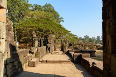Altın güneş ışığı, Angkor, Kamboçya 'daki antik kumtaşı yolunu ve kısmen harap olmuş Baphuon tapınağının duvarlarını aydınlatır. Asılan ağaçlar ve açık otlaklar, açık mavi gökyüzünün altındaki tarihi Khmer anıtının çerçevesini oluşturuyor..