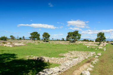 Dağılmış antik taş duvarlar ve olgun ağaçlar İtalya 'daki Paestum arkeolojik sahasının açık çimenlik alanlarını dolduruyor. Manzara parlak güneş ışığıyla aydınlanıyor. Canlı mavi bir Akdeniz gökyüzü altında, zamansız bir miras hissi uyandırıyor..