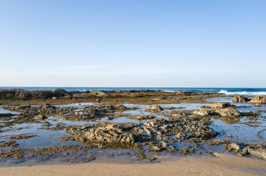 Kotohikihama Sahili 'nin kumlu kıyı şeridi boyunca uzanan sığ gel-git havuzlarının ve engebeli kayaların geniş bir görüntüsü, açık mavi gökyüzünün altında, uzakta yumuşak okyanus dalgaları var..