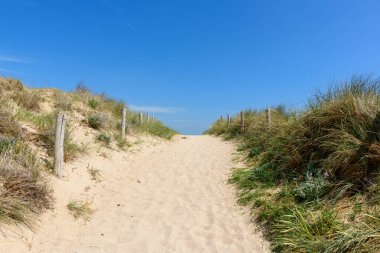 Yüksek otlar ve ahşap direklerle çevrili kumlu patika Quiberon 'daki Plage du Mentor' da açık mavi gökyüzünün altında sahil kum tepelerine çıkar. Sahne parlak, doğal, yumuşak dokular ve yaz ışıklarıyla dolu..