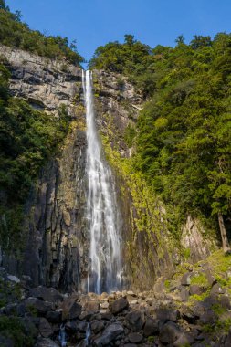 Japonya 'nın Wakayama kentindeki Nachi Şelalesi' nde yoğun yeşil ormanlarla çevrili yüksek bir kayalıktan bir şelale düşüyor. Güneş ışığı, parlak mavi gökyüzünün altındaki desenli kayaları ve gür yaprakları vurgular..