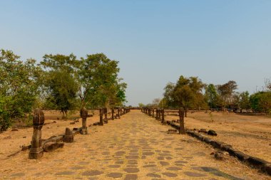 Yıpranmış sütunlarla kaplı tarihi taş patika güney Laos 'taki Wat Phu' da kuru çimenlerin ve dağınık ağaçların arasından uzanır. Yumuşak gün ışığı ve berrak gökyüzü doğal dokuları ve mirası gözler önüne seriyor..