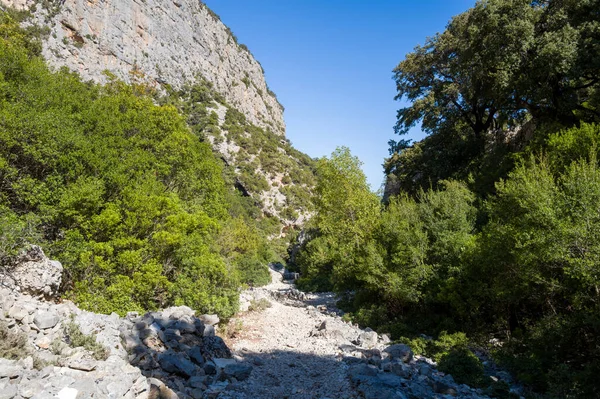 Güneşli bir kayalık yol, dik kireçtaşı uçurumları ve açık mavi gökyüzünün altındaki yoğun Akdeniz bitkileriyle çevrili dar bir kanyon boyunca esiyor. Engebeli arazide canlı yeşil yapraklar ve desenli taş yüzeyler var..