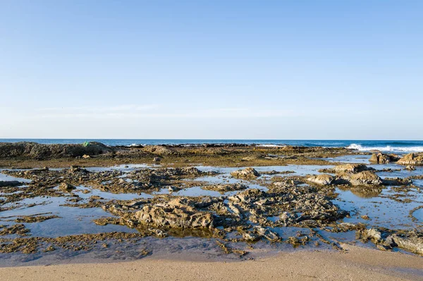 Kotohikihama Sahili 'nin kumlu kıyı şeridi boyunca uzanan sığ gel-git havuzlarının ve engebeli kayaların geniş bir görüntüsü, açık mavi gökyüzünün altında, uzakta yumuşak okyanus dalgaları var..