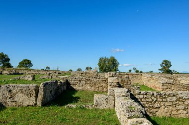 Yıpranmış taş duvarlar ve antik yapıların kalıntıları İtalya 'nın Paestum kentindeki çimenli arkeolojik alanlarda uzanıyor. Sahne, dağınık ağaçlar ve parlak mavi Akdeniz gökyüzü ile kıtır kıtır güneş ışığıyla aydınlanıyor..