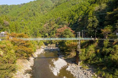 Dar bir asma köprü yoğun yeşil orman ve sonbahar yapraklarıyla çevrili sığ bir nehri geçer. Güneş ışığı, sakin bir dağ ortamında kayaların, suyun ve yemyeşil bitkilerin doğal dokusunu vurgular.