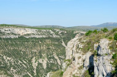 Geniş kireçtaşlı engebeli kayalıklar Navacelles Sirki 'ndeki yoğun bir bitkisel vadiye bakıyor. Manzara güneşli, doğal ve berrak mavi bir gökyüzünün altında açık..