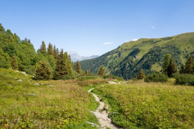 Kıvrımlı toprak yol, yemyeşil ağaçlarla çevrili yemyeşil çayırların arasından geçiyor. Yuvarlanan yeşil tepeler ve açık mavi gökyüzü parlak, davetkar bir atmosfer yaratıyor..