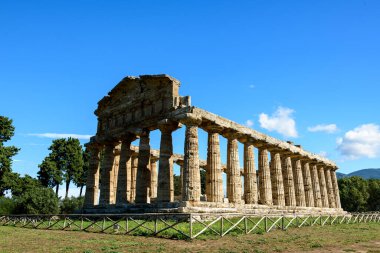 Ceres Tapınağı 'nın Doric sütunları İtalya' nın Paestum kentindeki arkeolojik alanda çimenli zeminin üzerinde yükselir. Antik yapı açık güneş ışığında duruyor, çam ağaçları ve uzak tepelerle çevrili, canlı mavi bir gökyüzü yaratıyor