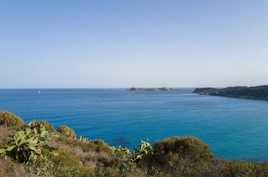 Akdeniz dikenli armut kaktüsü ve yabani çalılar berrak bir gökyüzünün altındaki Porto Giunco 'nun açık mavi sularına ve uzak burunlarına tepeden bakar..